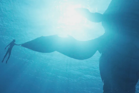 Avatar: The Way of Water Disney+